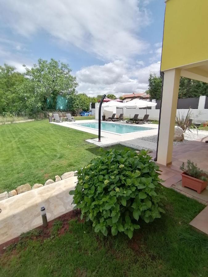 Apartman Nikola Ladrovici Exterior foto